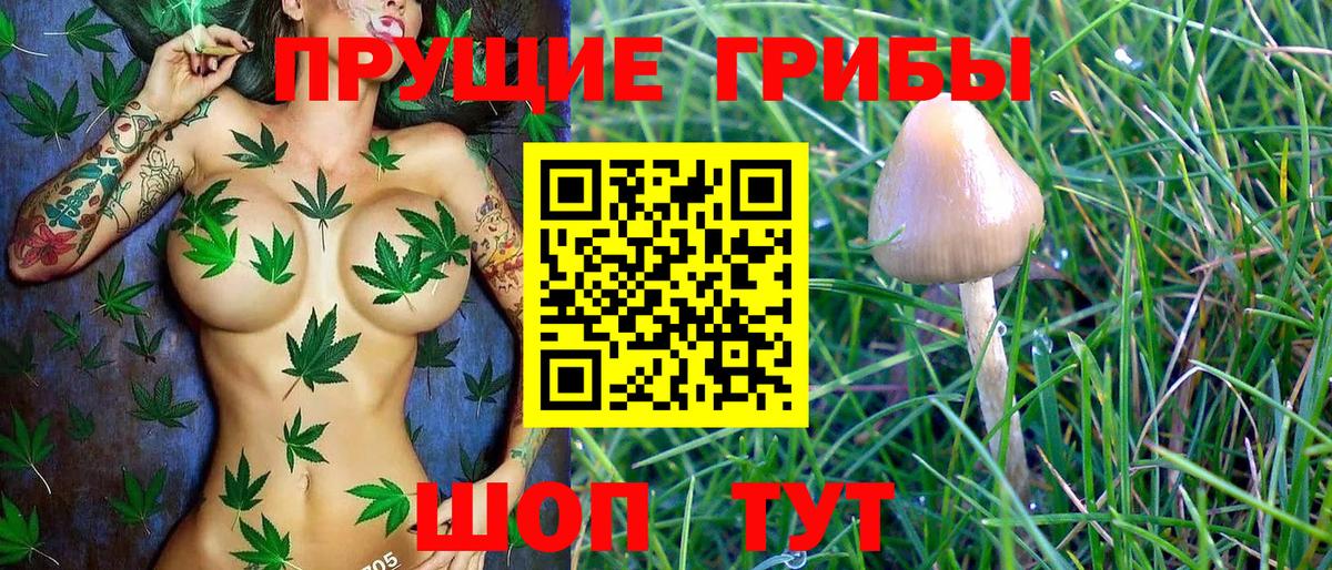 Кандалакша  Галлюциногенные грибы MAGIC MUSHROOMS  Вход с VPN  Галлюциногенные грибы Psilocybine cubensis 